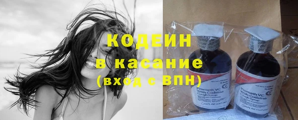 мдпв Козельск