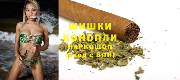 ПСИЛОЦИБИНОВЫЕ ГРИБЫ Кодинск
