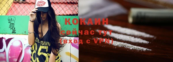 мдпв Козельск