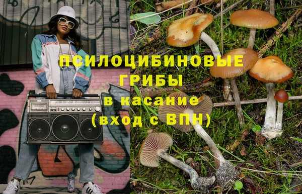 ПСИЛОЦИБИНОВЫЕ ГРИБЫ Кодинск