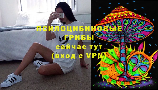 мдпв Козельск
