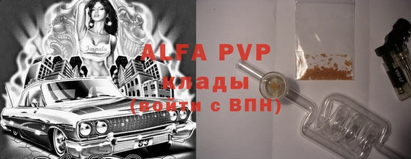 мдпв Козельск