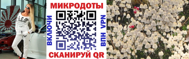 Галлюциногенные грибы GOLDEN TEACHER  Купить  Раменское 